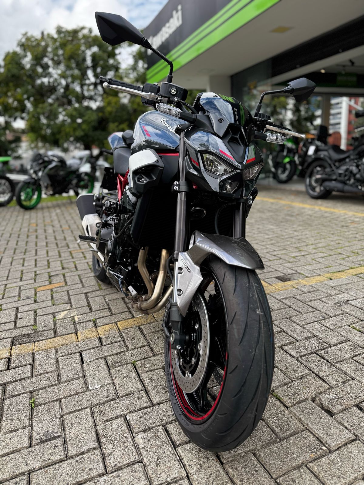 Kawasaki - Z900 /SE/R/RS CAFE (2017-on) - Procton Racing Rotational Impact System – Frame Sliders F1