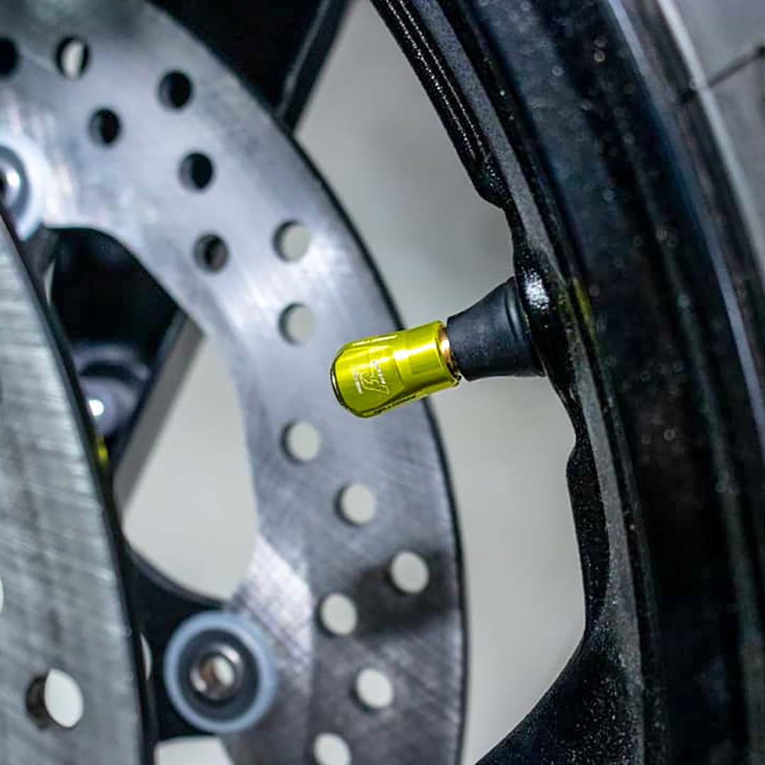 Procton Valve Stem Caps (Pair) - Universal