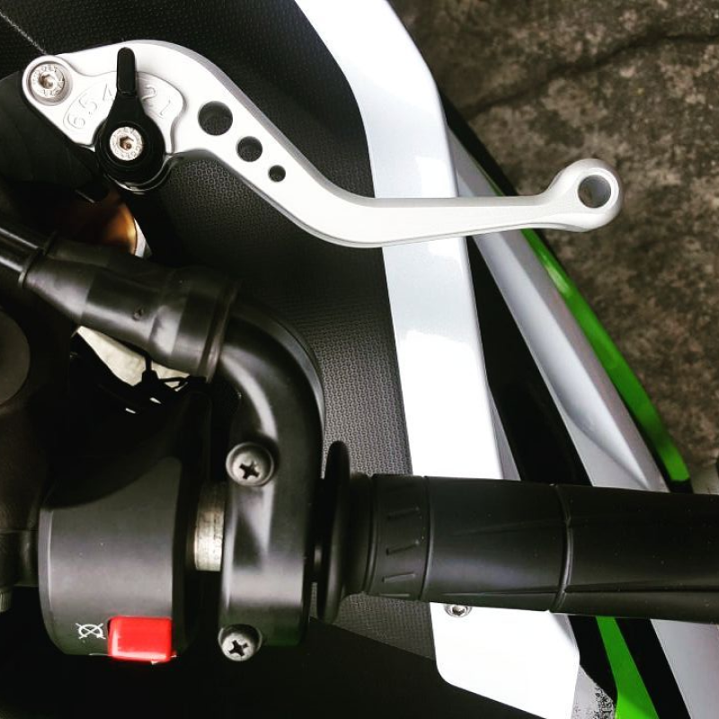 Procton Brake / Clutch Levers Set for BMW S 1000 R Naked (2015-2019) (F-22/B-22H)