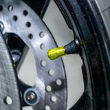 Procton Valve Stem Caps (Pair) - Universal