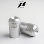 Procton Valve Stem Caps (Pair) - Universal