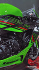 Lougan-RS TITANIUM GP RACING EDITION EXHAUST TIP Kawasaki ZX-10R (2010-2015)